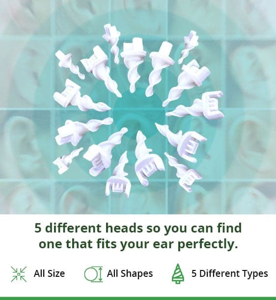 All Ear Sizes & Shapes